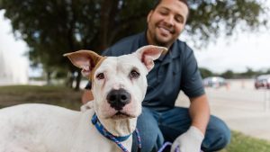 10 Incredible Animal Welfare Charities Making a Difference