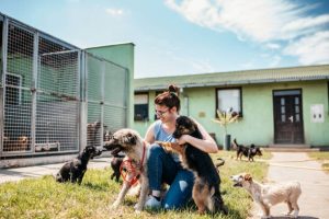 What’s the Difference Between an Animal Shelter and Animal Rescue?
