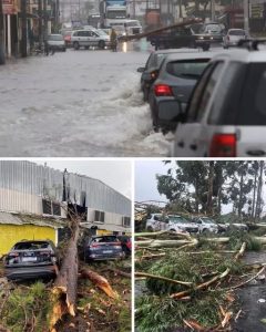 HT20. Urgent! Now a severe thunderstorm is moving to the cities of… See more