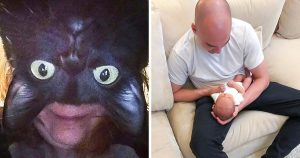 ST20. 15 Photos That Are So Confusing, Even Doing a Double Take Won’t Help You